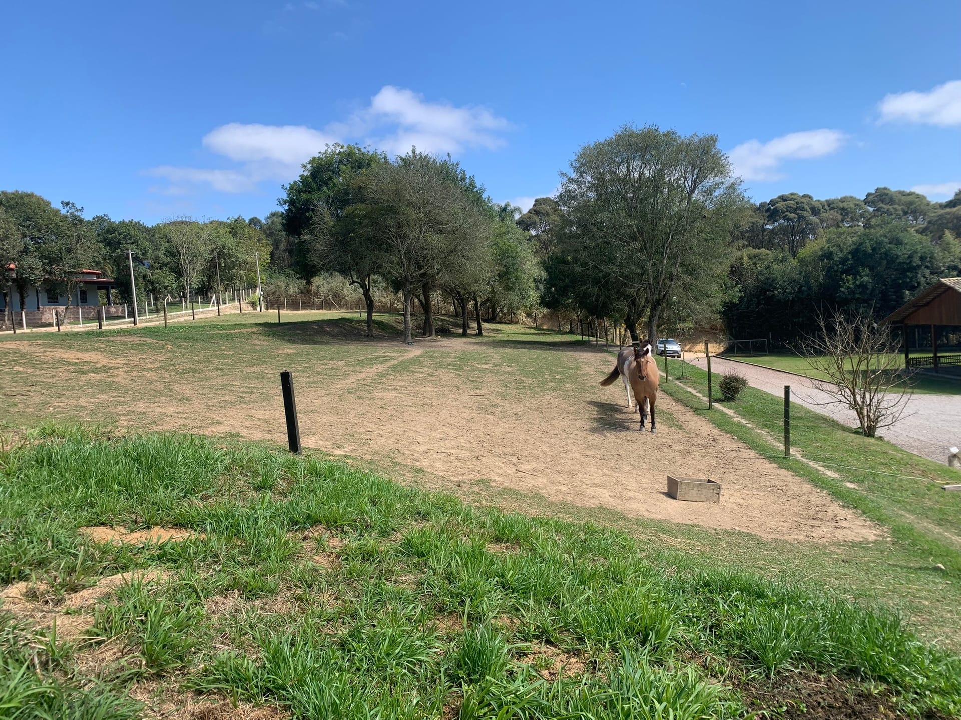 Chácara, 2 quartos, 4770 m² - Foto 41