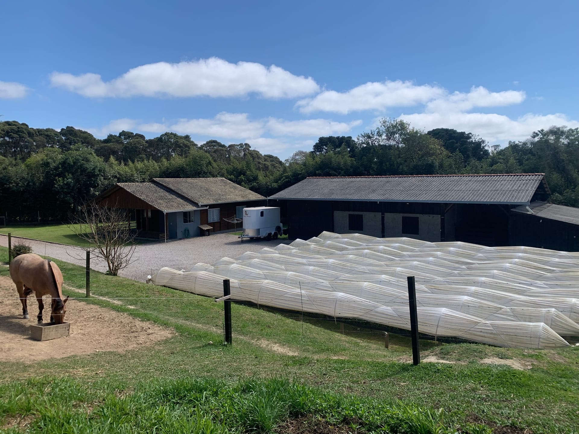 Chácara, 2 quartos, 4770 m² - Foto 3