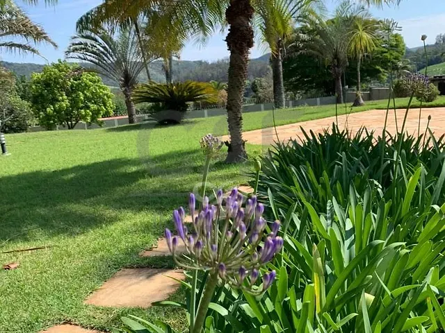 Chácara com 3750m² 5 quartos e 7 banheiros, à venda, no bairro Jardim São Sebastião (Arcadas) em Amparo
