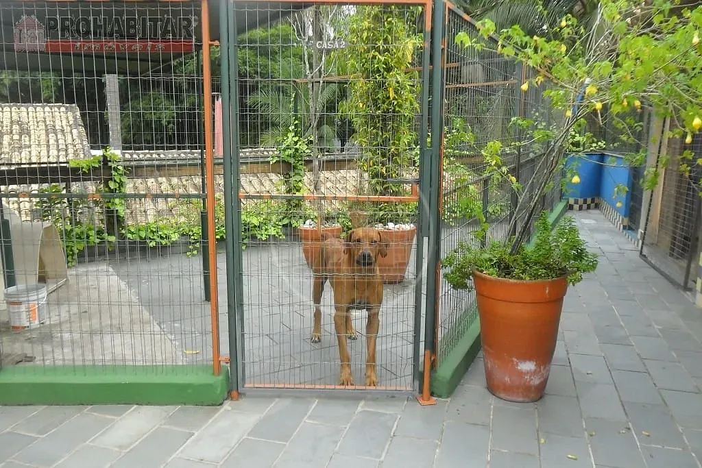 Sítio, 3 quartos, 2000 m² - Foto 68