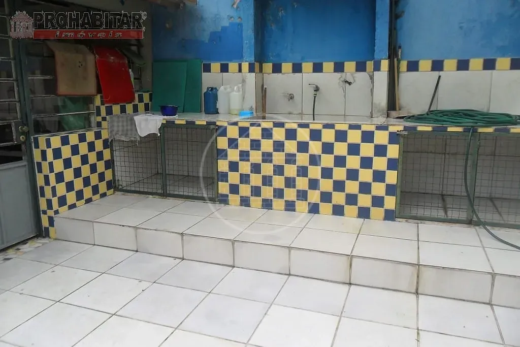 Sítio, 3 quartos, 2000 m² - Foto 62