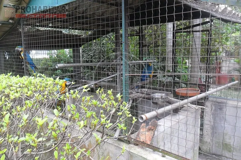 Sítio, 3 quartos, 2000 m² - Foto 38