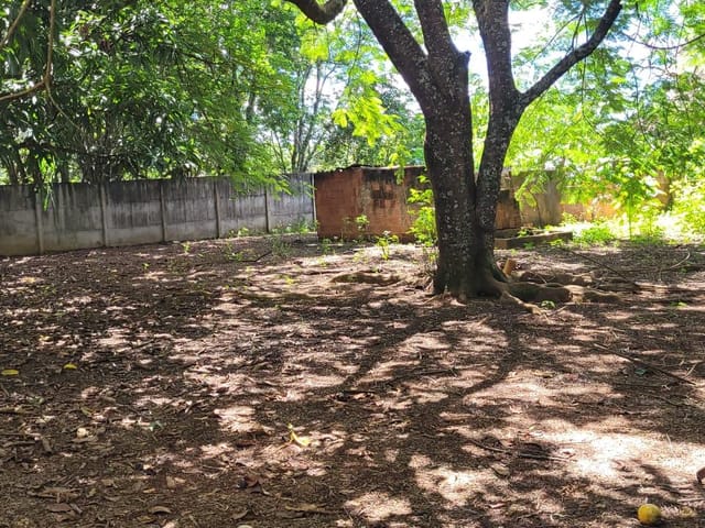 Foto do Chácara - Chácara para locação, Centro, Uberaba, MG | DOMINIO ZAGO IMOVEIS LTDA