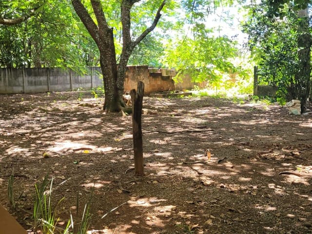 Foto do Chácara - Chácara para locação, Centro, Uberaba, MG | DOMINIO ZAGO IMOVEIS LTDA