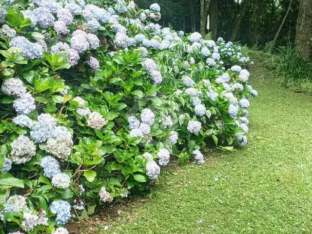 Chácara com 85m² 2 quartos e 1 banheiro, à venda, no bairro LINHA HARMONIA em Teutônia
