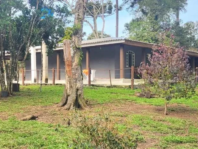 Sítio 2 quartos e 2 banheiros, à venda, no bairro Campininha em Tijucas Do Sul