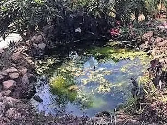 Chácara com 1000m² 3 quartos e 3 banheiros, à venda, no bairro Parque Ana Helena em Jaguariúna
