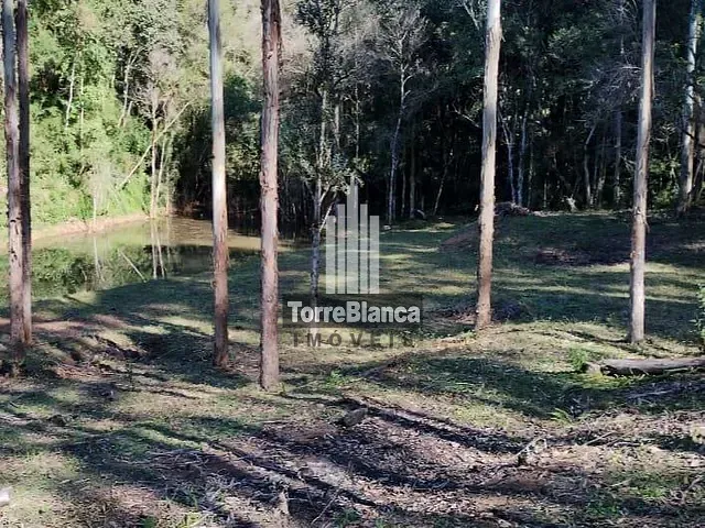 Chácara com 120000m² 2 quartos e 2 banheiros, à venda, no bairro Biscaia em Ponta Grossa