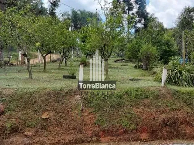 Chácara com 120000m² 2 quartos e 2 banheiros, à venda, no bairro Biscaia em Ponta Grossa
