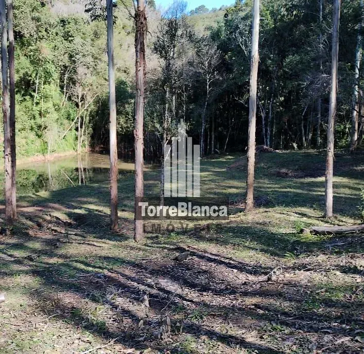 Sítio, 2 quartos, 12 hectares - Foto 1