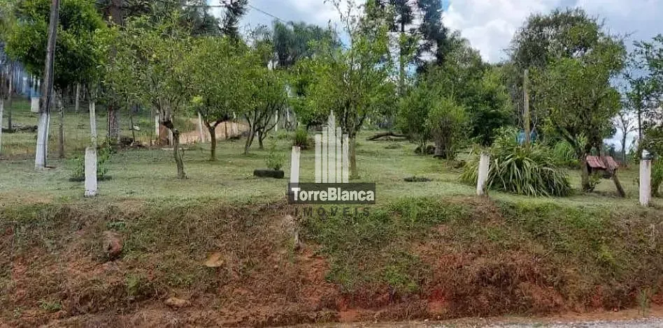 Sítio, 2 quartos, 12 hectares - Foto 3