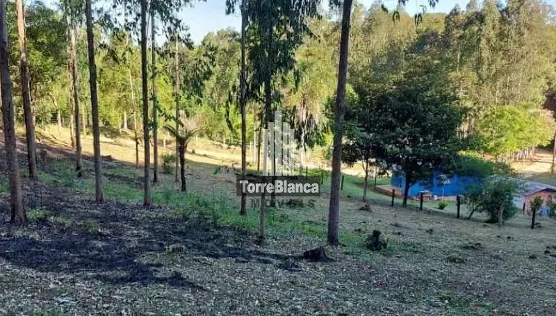 Sítio, 2 quartos, 12 hectares - Foto 10