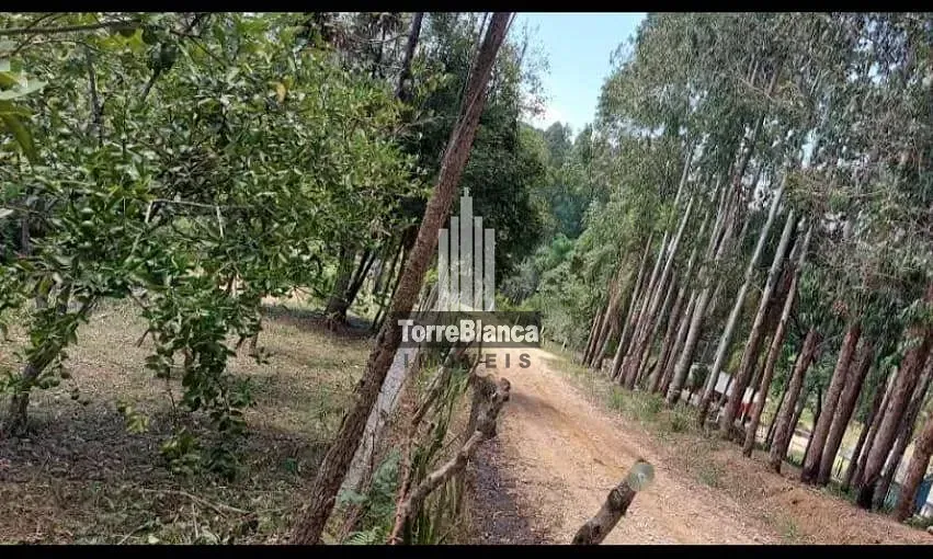 Sítio, 2 quartos, 12 hectares - Foto 12
