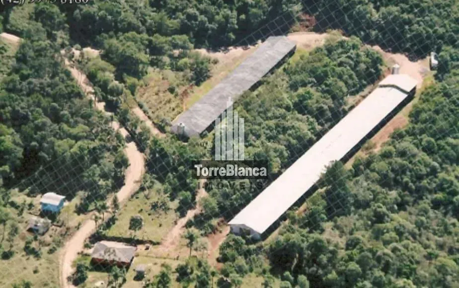 Sítio, 2 quartos, 12 hectares - Foto 7