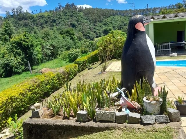 Chácara com 11000m² 3 quartos e 2 banheiros, à venda, no bairro Sete Barras em Bragança Paulista