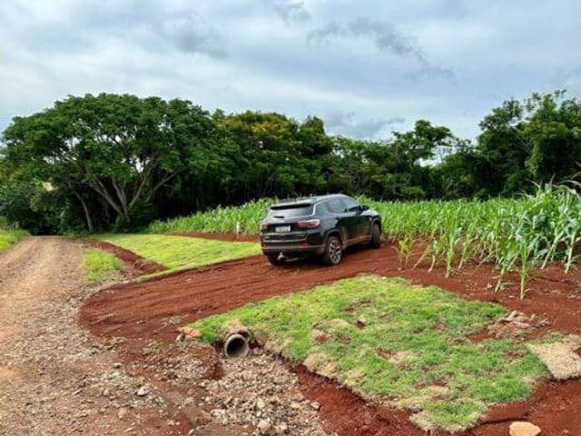 Foto do Chácara - Chácara à venda, Parque Industrial V, Arapongas, PR | Imobiliaria Ricardo