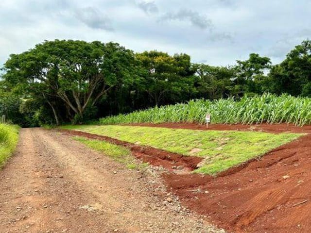 Foto do Chácara - Chácara à venda, Parque Industrial V, Arapongas, PR | Imobiliaria Ricardo