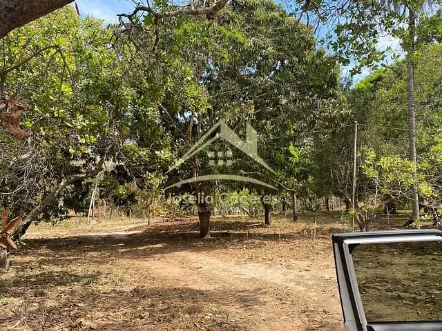 Chácara com 15000m² 1 quarto e 2 banheiros, à venda ou para alugar, no bairro coxipo do ouro em Coxipó do Ouro