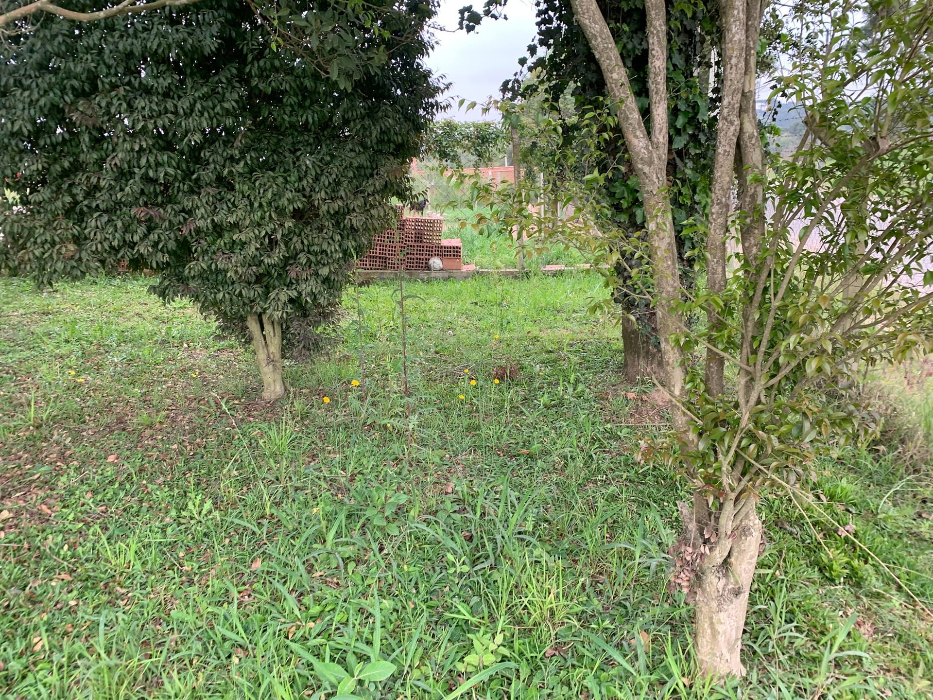 Terreno, 1250 m² - Foto 1