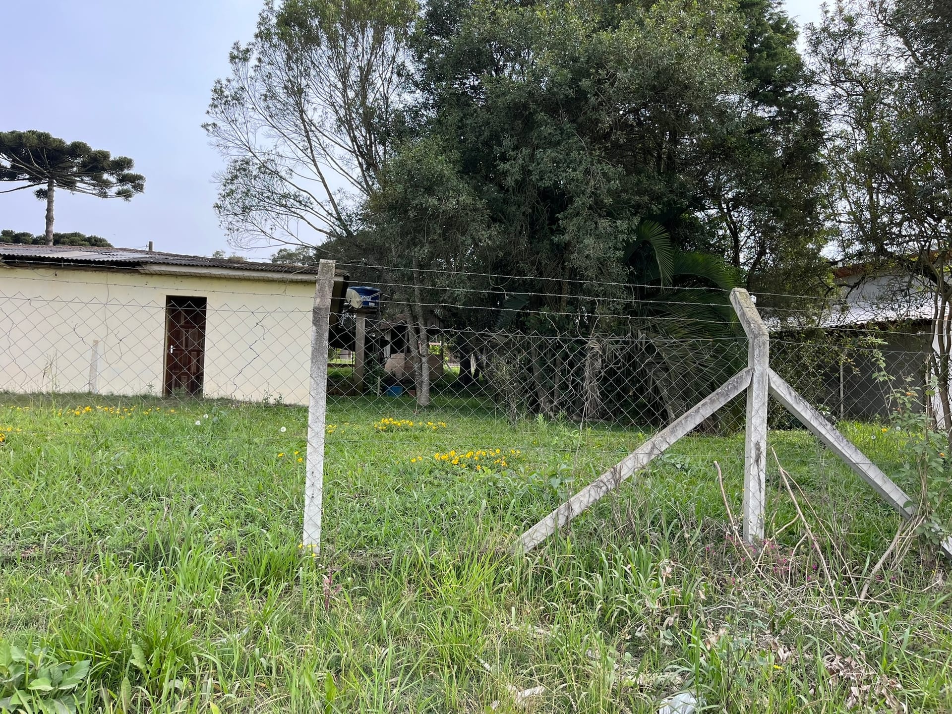 Terreno, 1250 m² - Foto 23