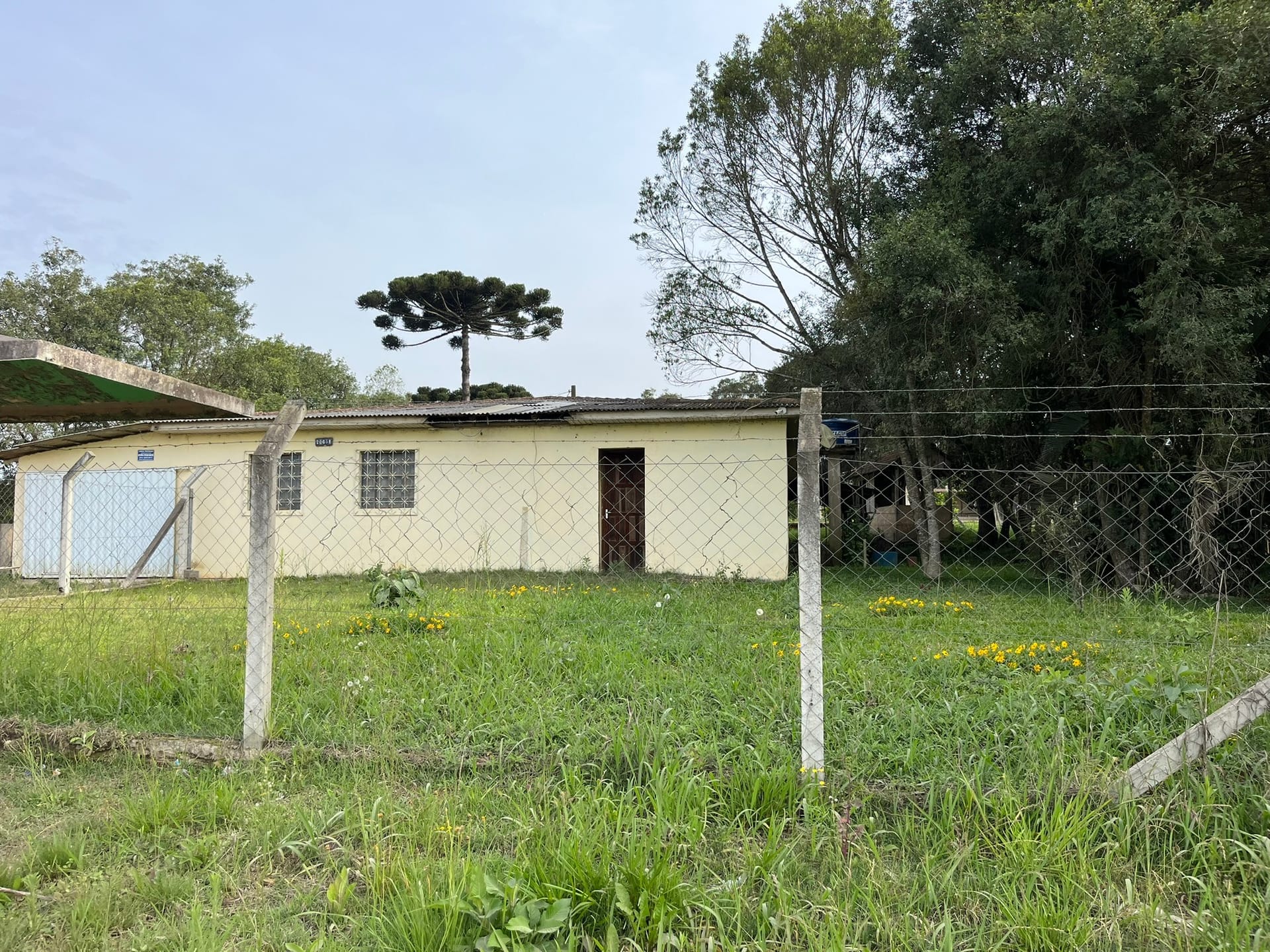 Terreno, 1250 m² - Foto 5