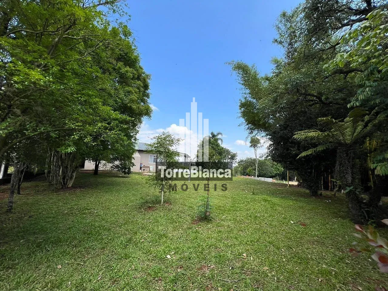 Sítio, 8 quartos, 3000 m² - Foto 35