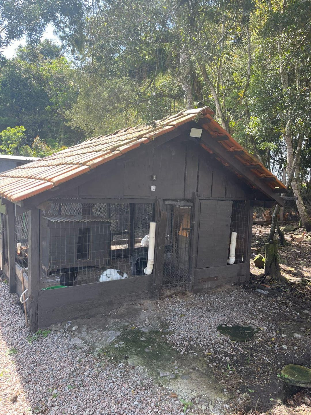 Chácara, 2 quartos, 10000 m² - Foto 47