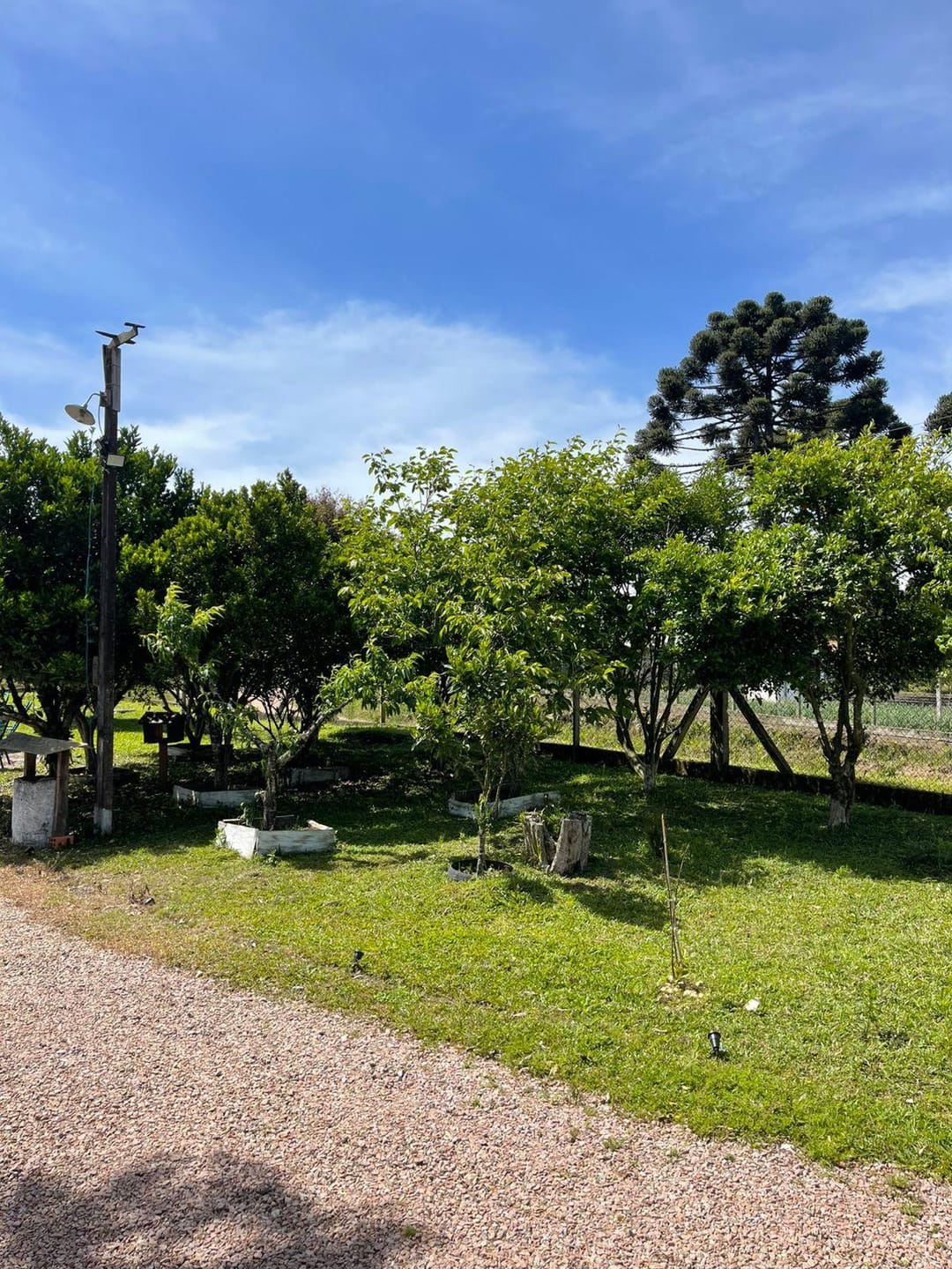 Chácara, 2 quartos, 10000 m² - Foto 4