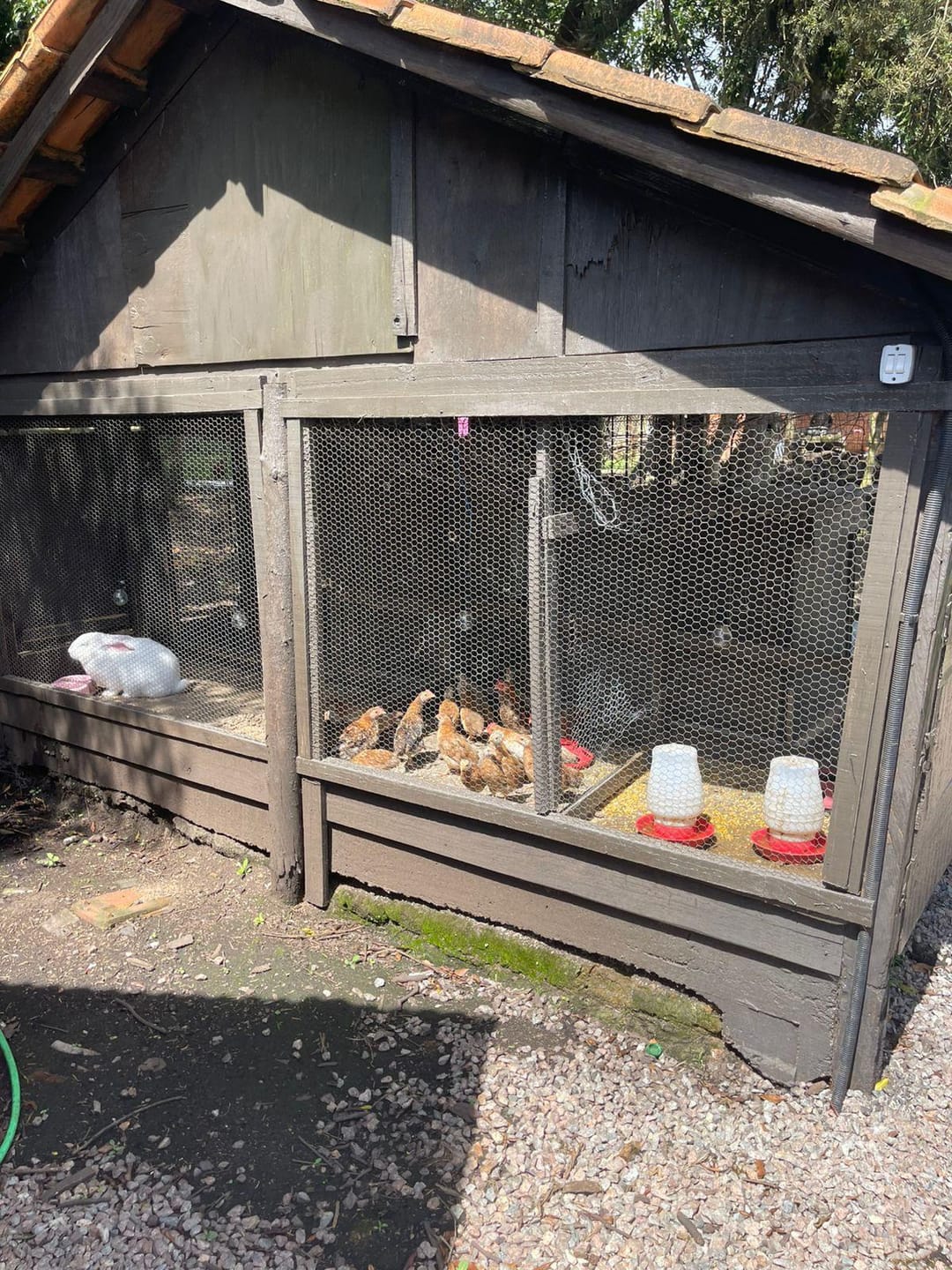 Chácara, 2 quartos, 10000 m² - Foto 5