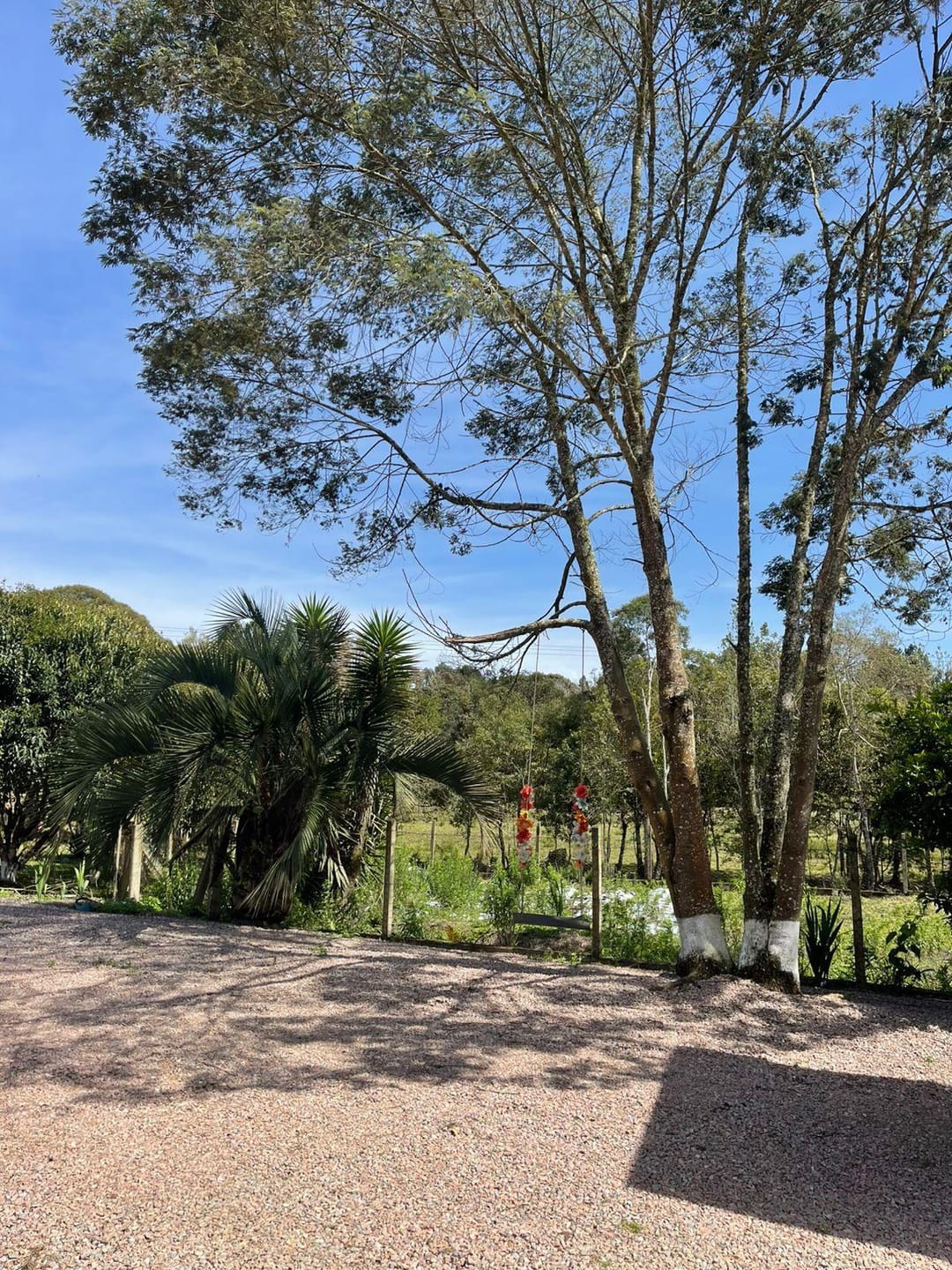 Chácara, 2 quartos, 10000 m² - Foto 8