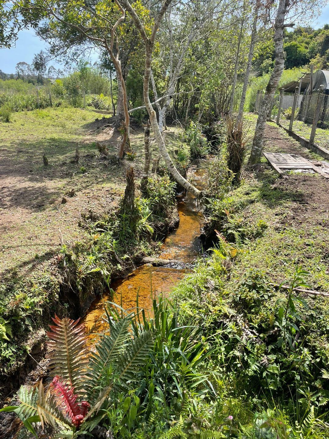 Chácara, 2 quartos, 10000 m² - Foto 1