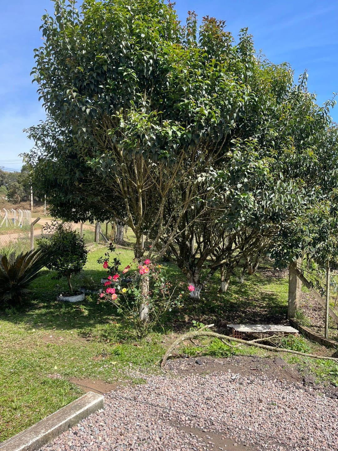 Chácara, 2 quartos, 10000 m² - Foto 20