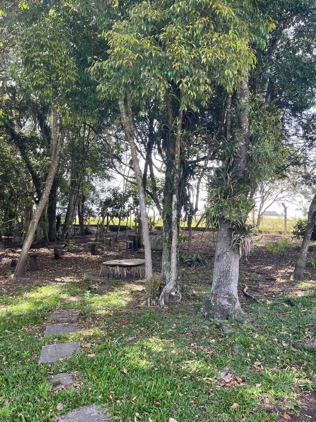 Chácara, 2 quartos, 10000 m² - Foto 21