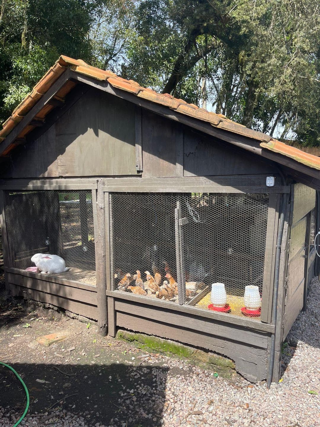 Chácara, 2 quartos, 10000 m² - Foto 24