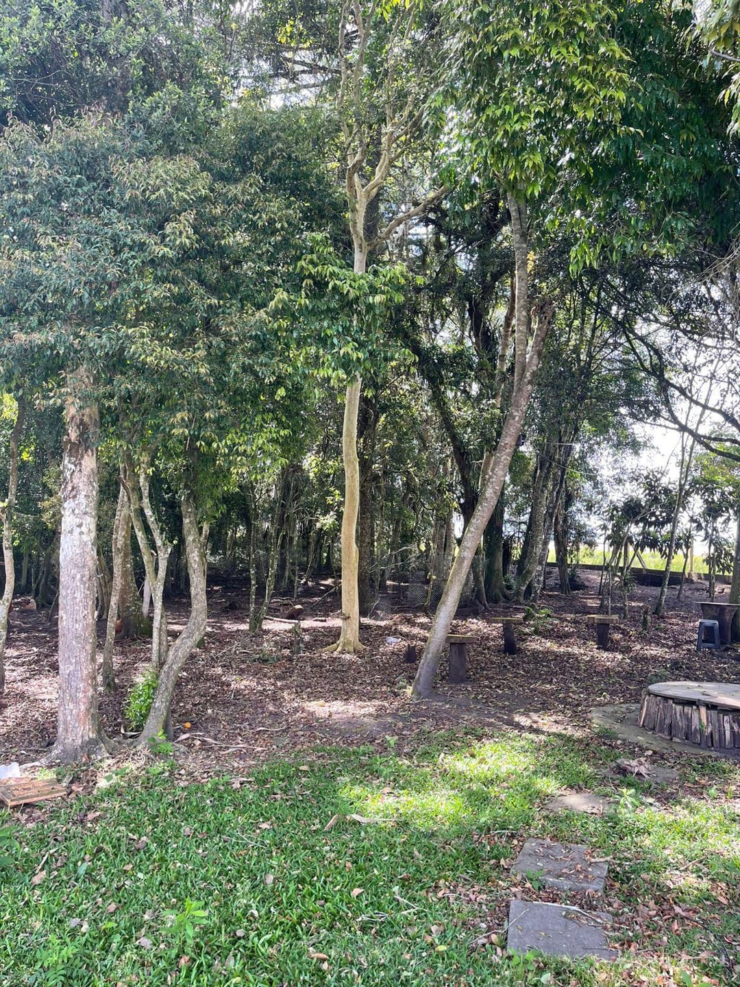 Chácara, 2 quartos, 10000 m² - Foto 26