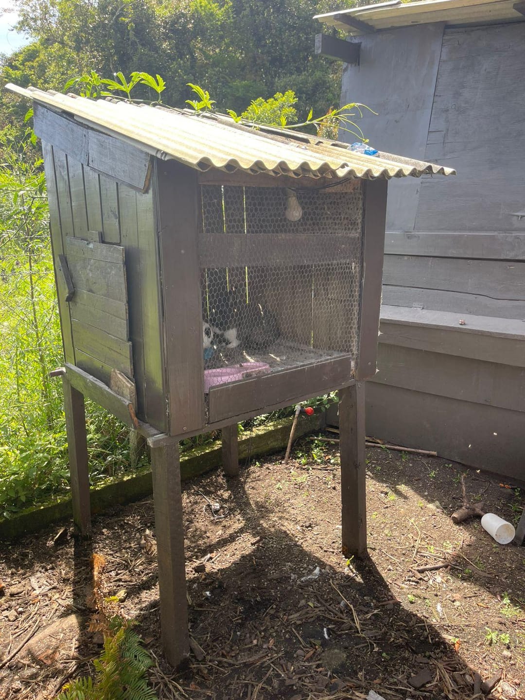 Chácara, 2 quartos, 10000 m² - Foto 27