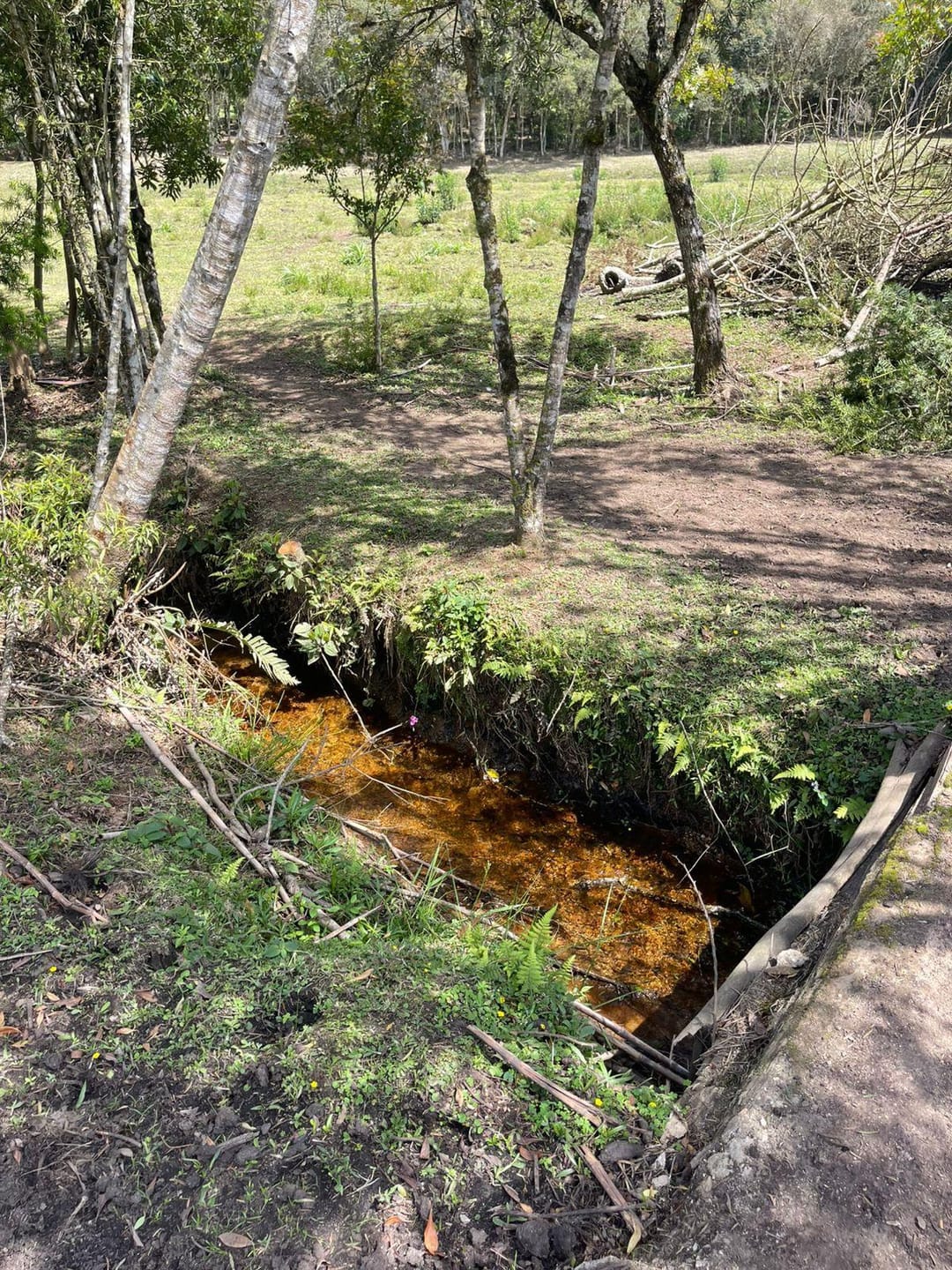 Chácara, 2 quartos, 10000 m² - Foto 31