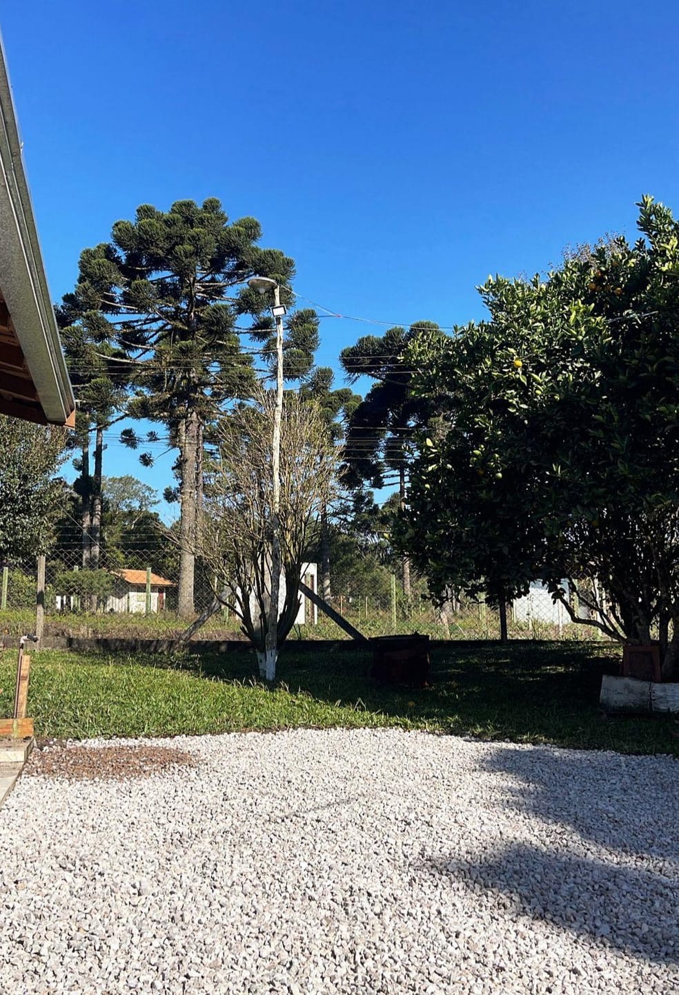 Chácara, 2 quartos, 10000 m² - Foto 33