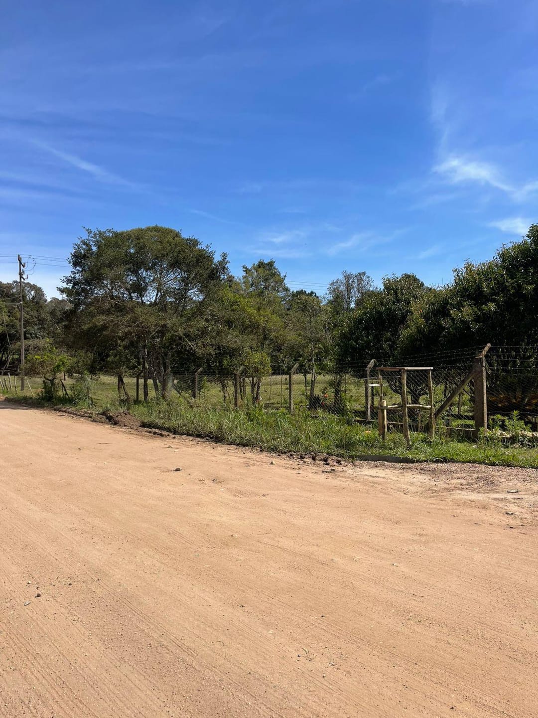 Chácara, 2 quartos, 10000 m² - Foto 35