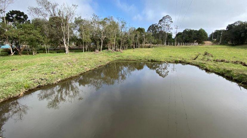 Chácara, 2 quartos, 10000 m² - Foto 36