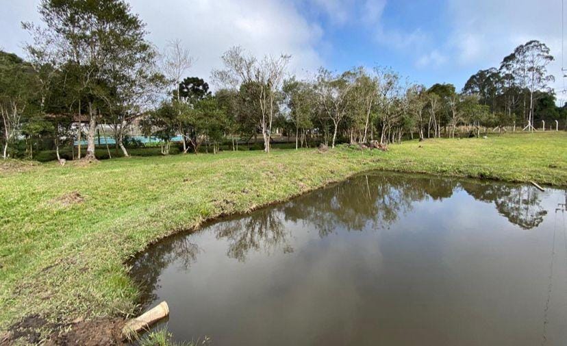 Chácara, 2 quartos, 10000 m² - Foto 43