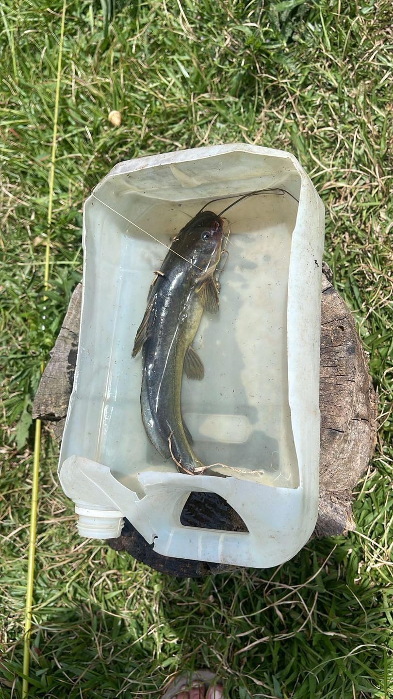 Chácara, 2 quartos, 10000 m² - Foto 45