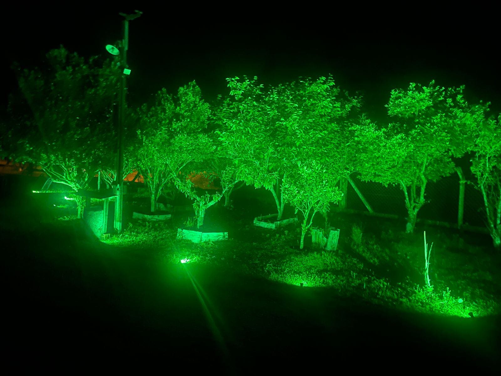 Chácara, 2 quartos, 10000 m² - Foto 1