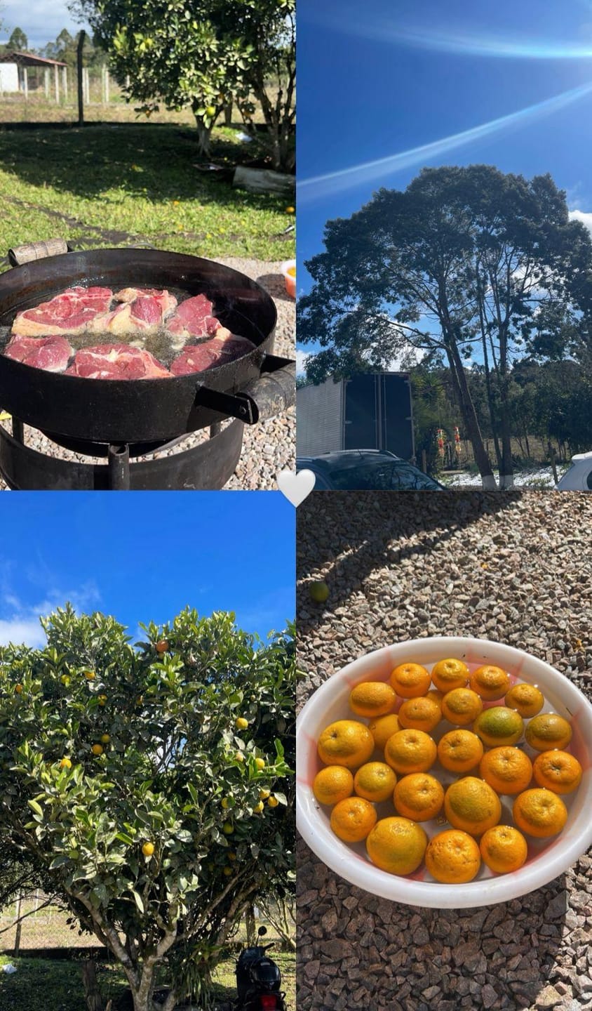 Chácara, 2 quartos, 10000 m² - Foto 48