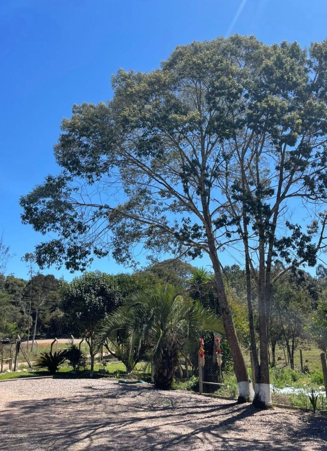 Chácara, 2 quartos, 10000 m² - Foto 50