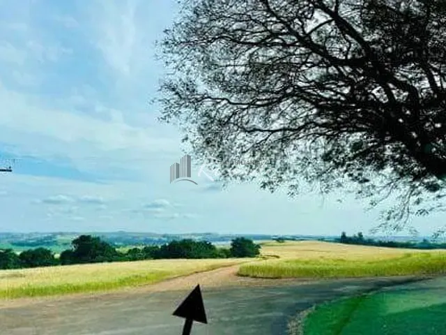 Chácara com 20500m², à venda, no bairro Área Rural de Arapongas em Arapongas