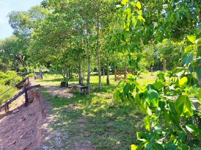 Chácara com 4800m² 3 quartos e 2 banheiros, à venda ou para alugar, no bairro Barão Melgaço  em Barão de Melgaço
