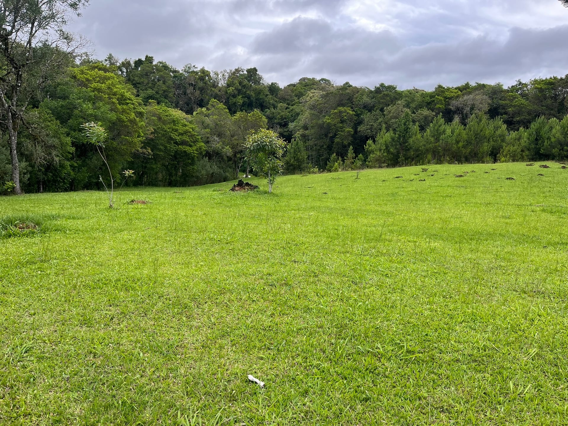 Chácara, 3 quartos, 2 hectares - Foto 3