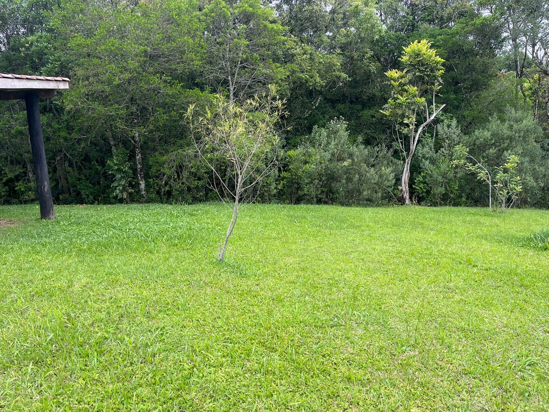 Chácara, 3 quartos, 2 hectares - Foto 7