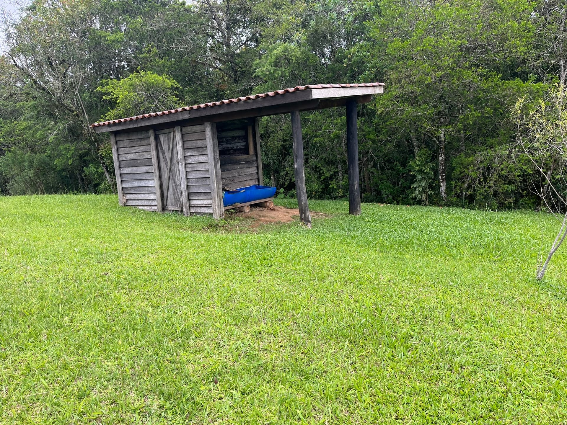 Chácara, 3 quartos, 2 hectares - Foto 8